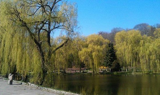 Spacery po Gdańsku